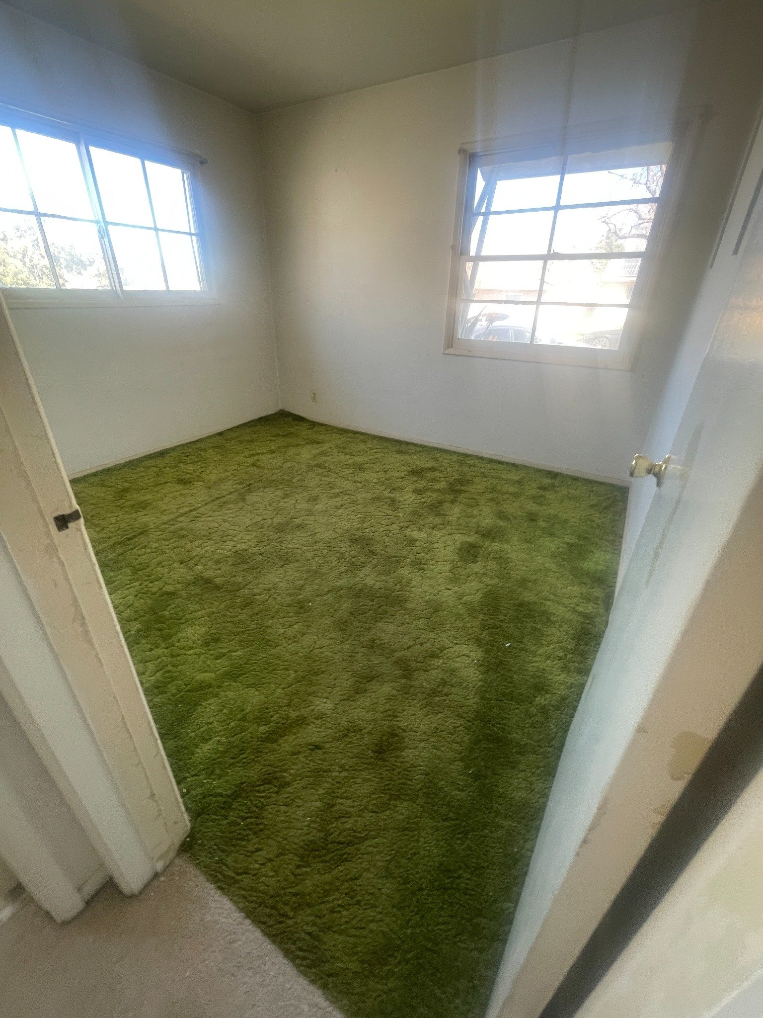 Bedroom before preparation with green sculpted shag carpeting